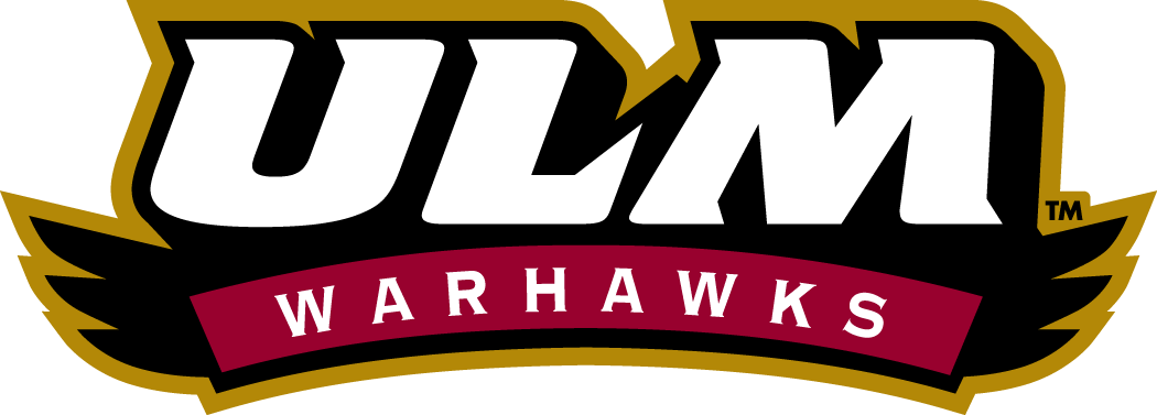 Louisiana-Monroe Warhawks 2006-Pres Wordmark Logo v4 diy iron on heat transfer